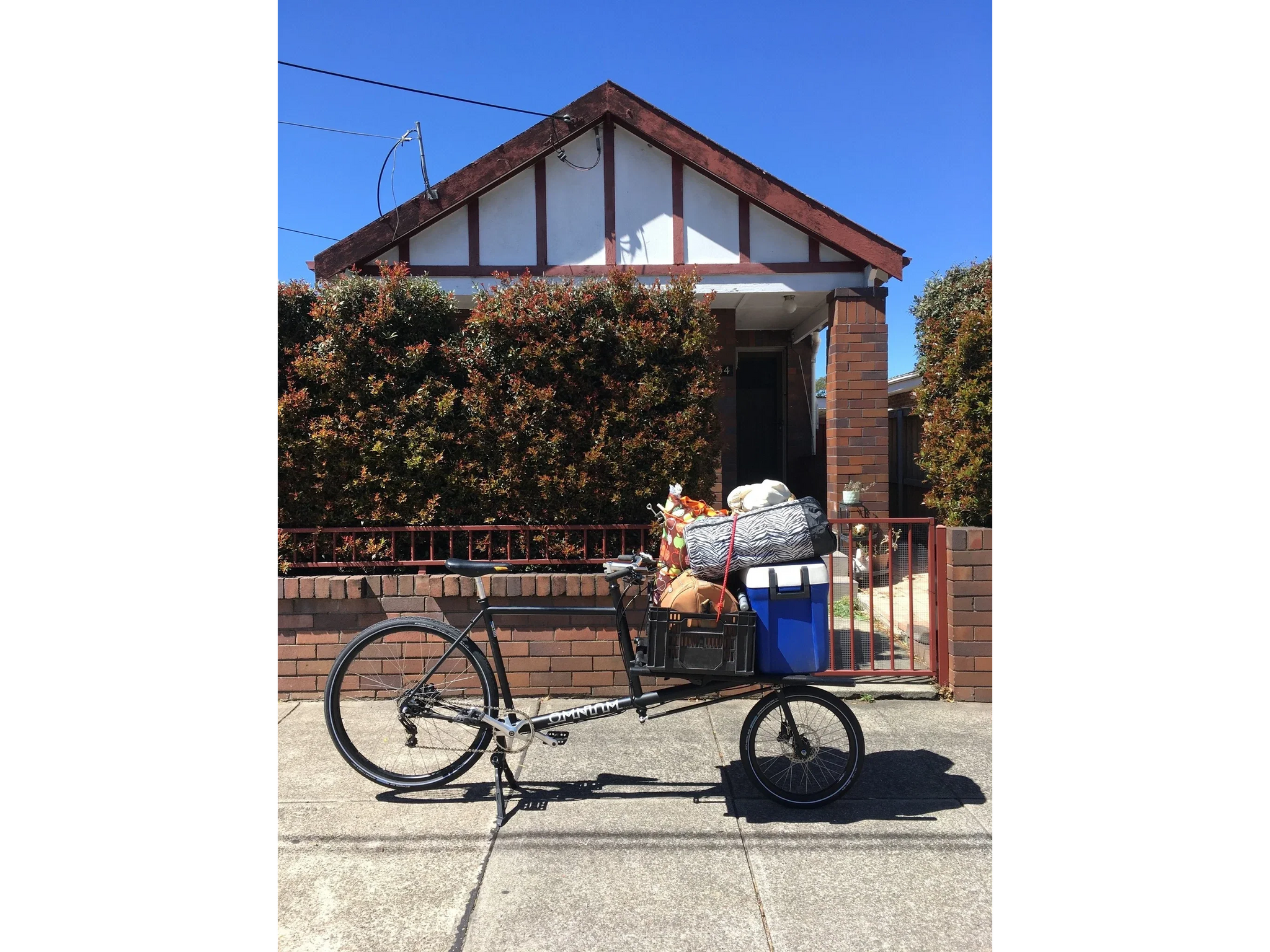 Bud's Omnium Maxi