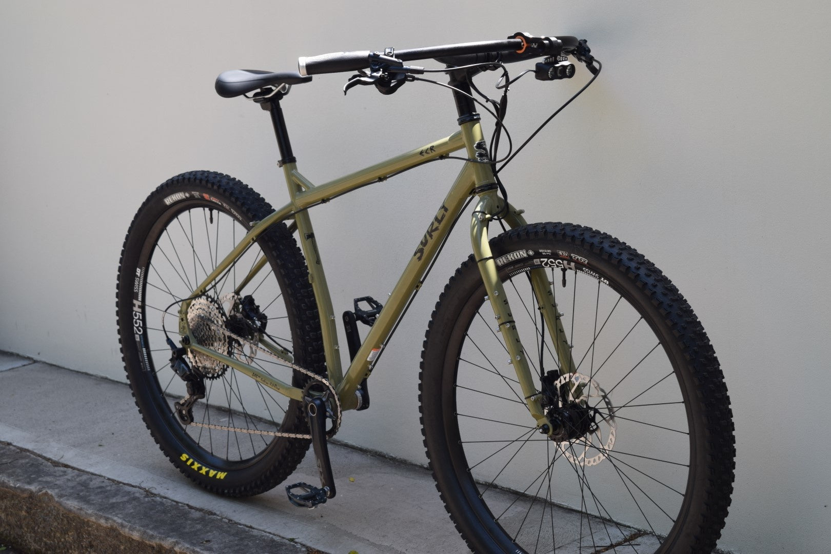Christian's Surly ECR