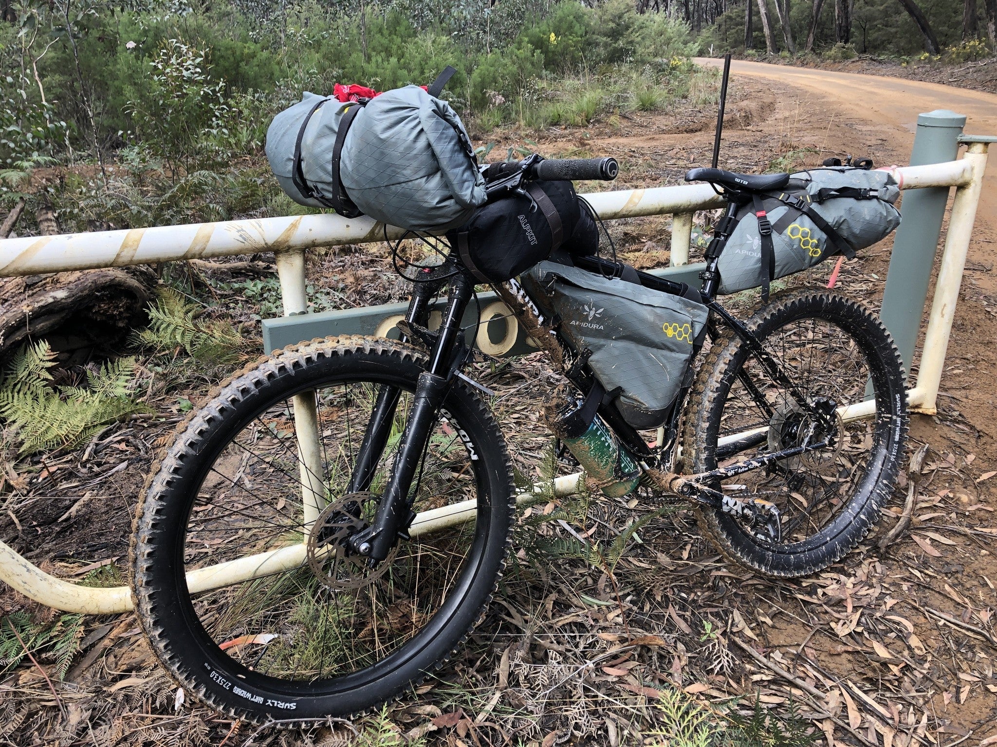Duncan's Surly Karate Monkey