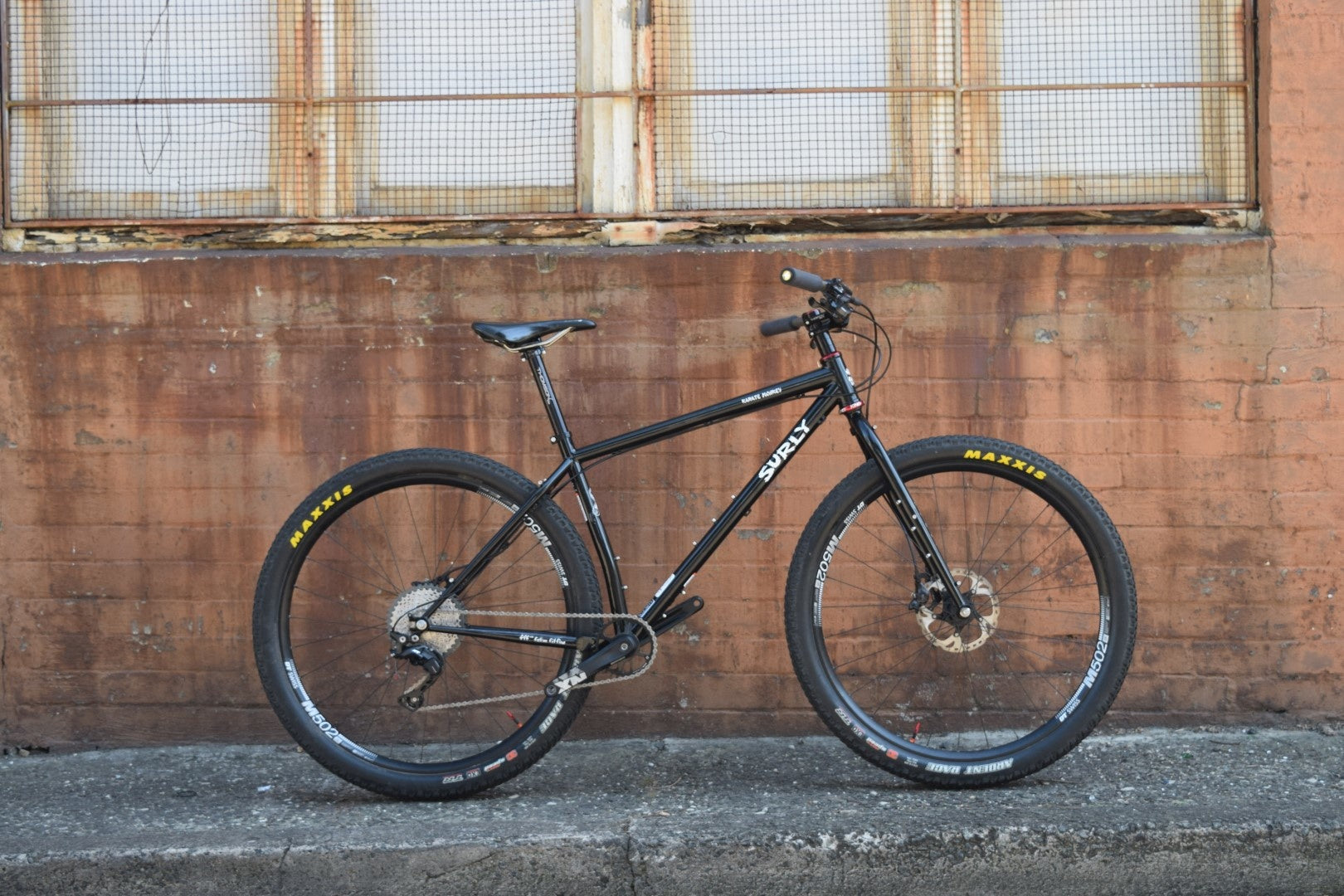 Mark's Surly Karate Monkey