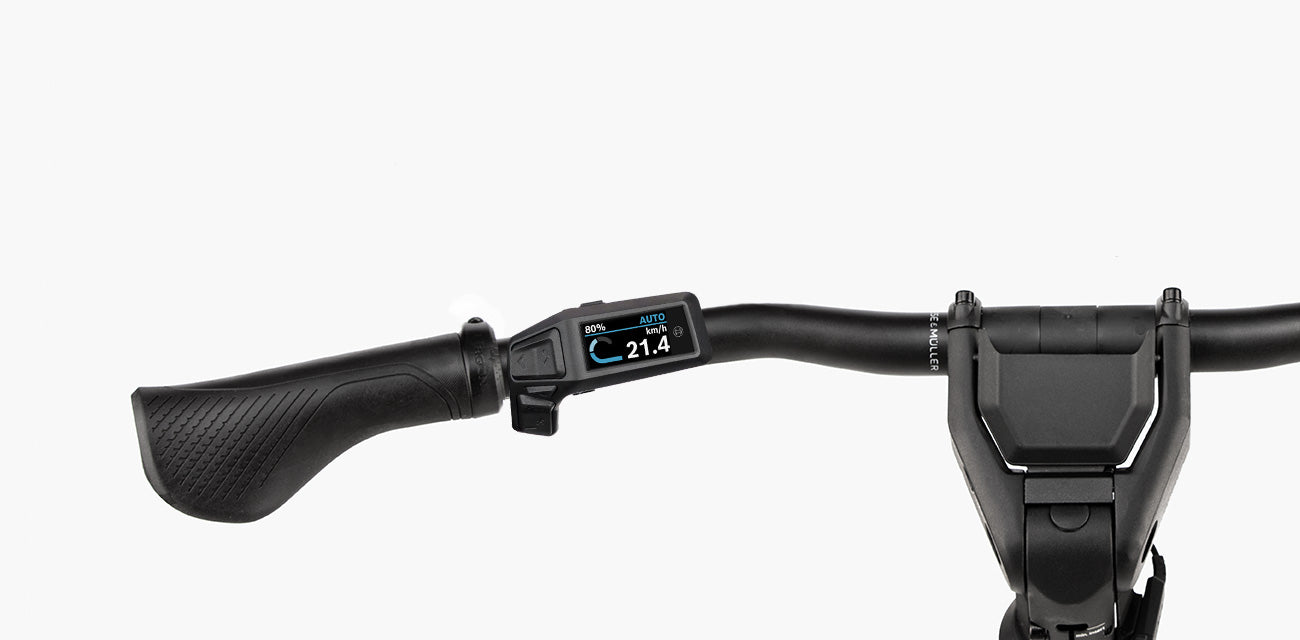 Riese & Muller Delite5