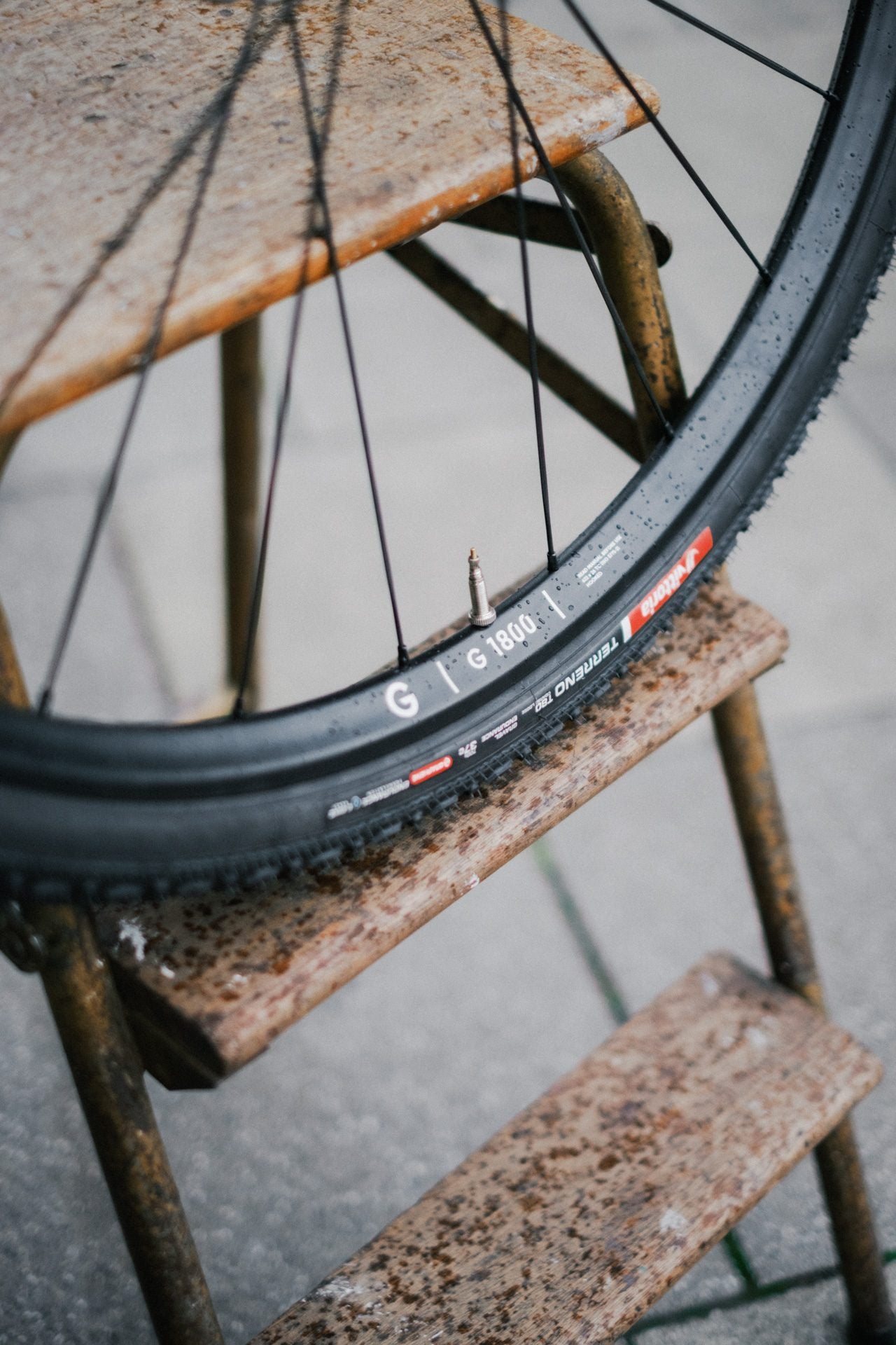 Dt Swiss Dynamo Wheelset G1800 Classic