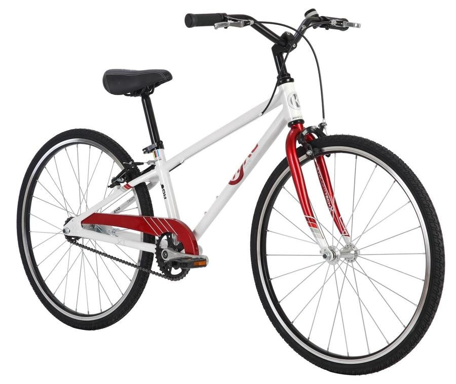 BYK E-540 Single Speed