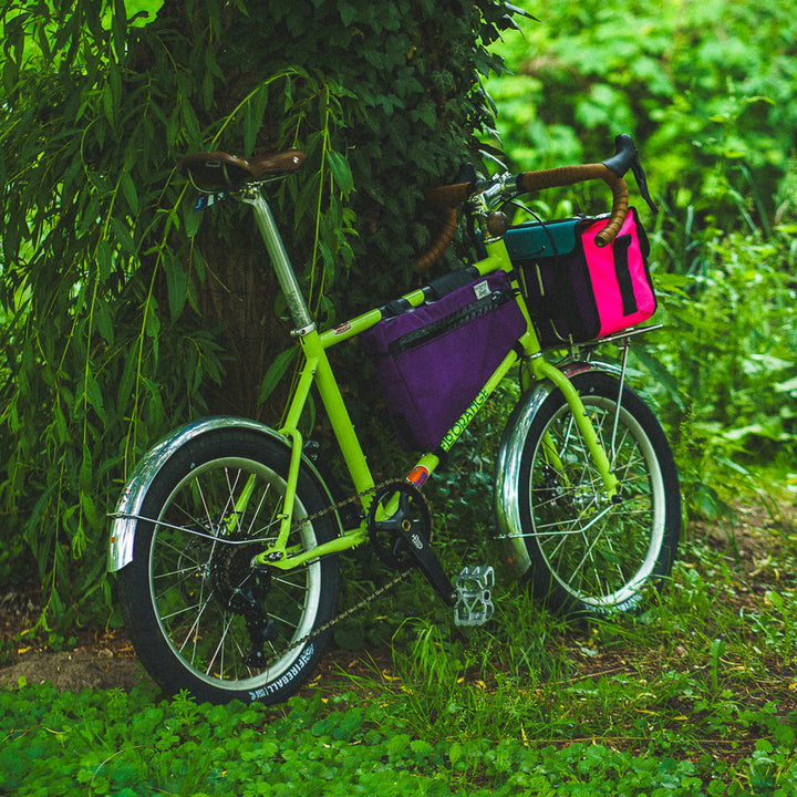 Velo Orange Neutrino Frameset