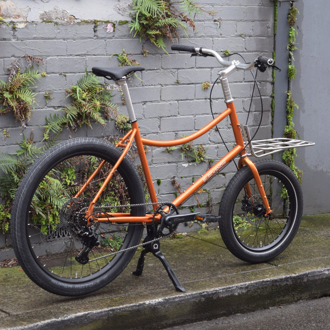 BlackSnow EDC Mk2 Cargo Bike House Build