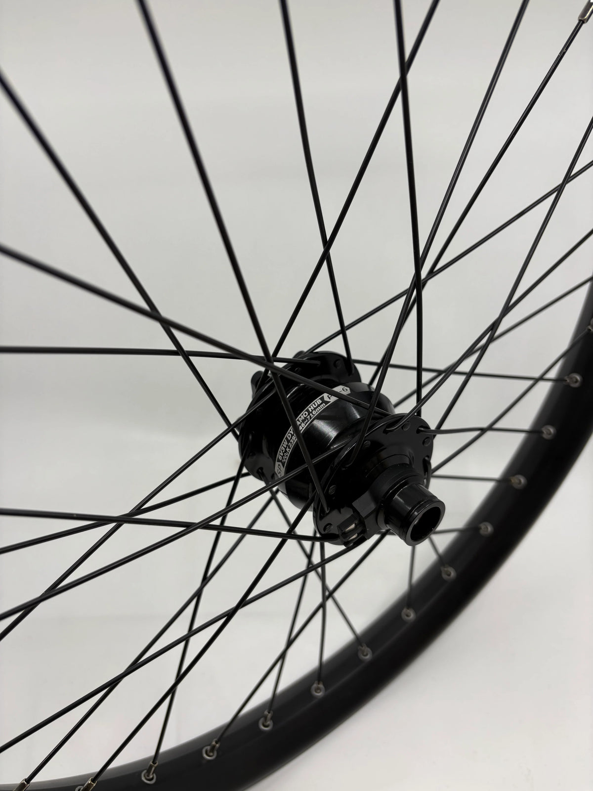 WHEEL - 29er Alex MD30 32H P/j Black Rim, 30mm internal rim , FRONT DYNAMO 15mm T/A (110mm OLD) 6 Bolt Disc