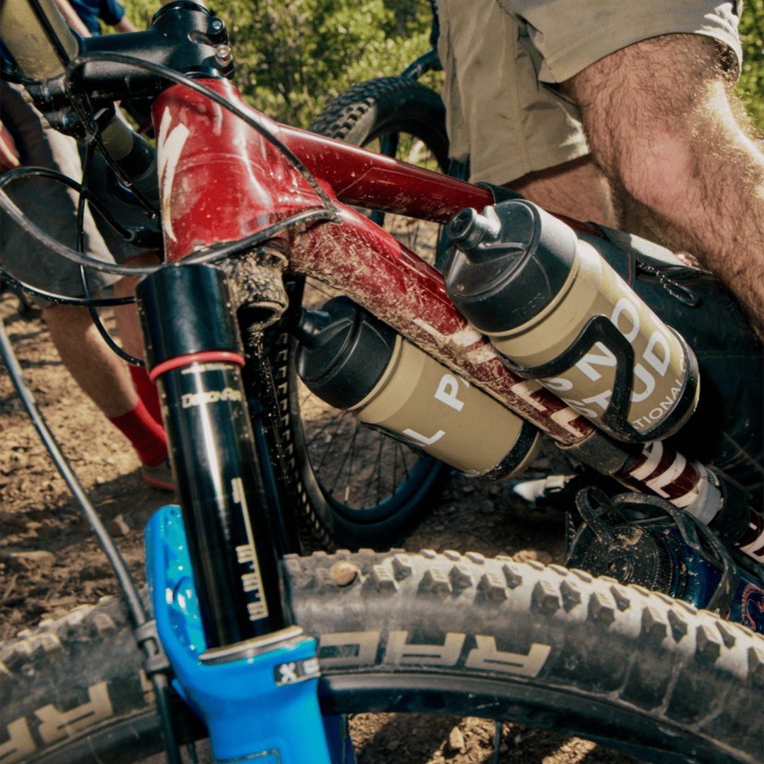 Botched Bikes Stainless Dragonfly