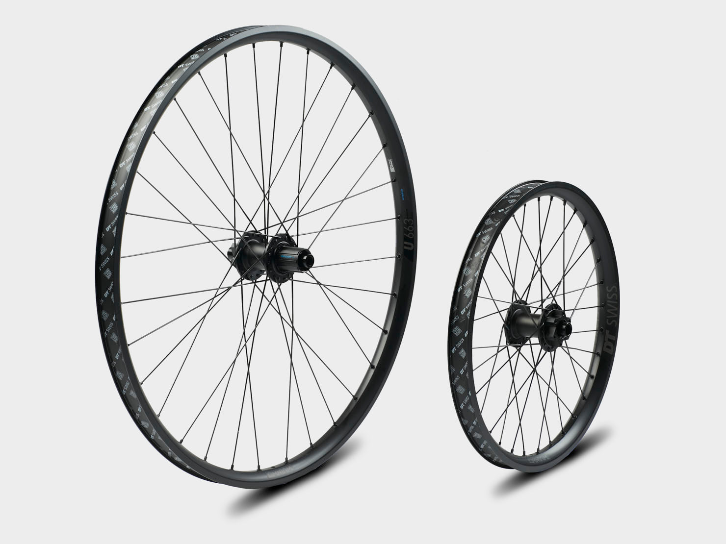 Omnium DT Swiss Wheelset