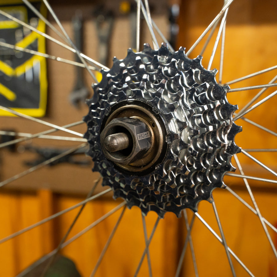 Pedros Freewheel Socket 12 Spline x 23mm