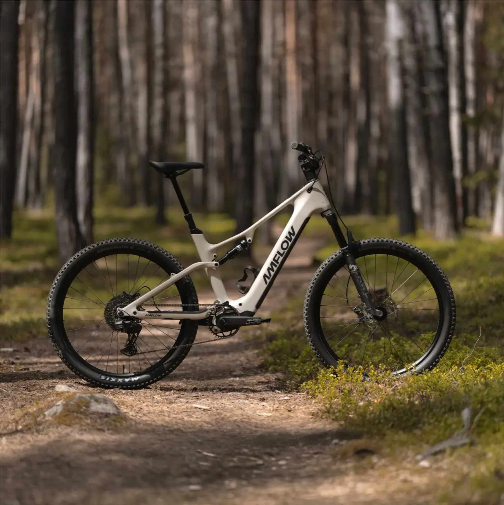 Amflow TL Carbon SUV eBike