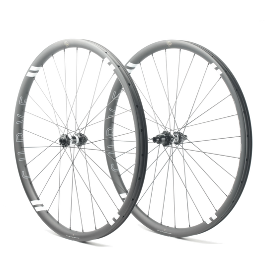 Curve Dirt Hoops 29 Wheelset CARBON Wider 40 - 15 x 110 | 12 x 148 DT 350 | SRAM XD