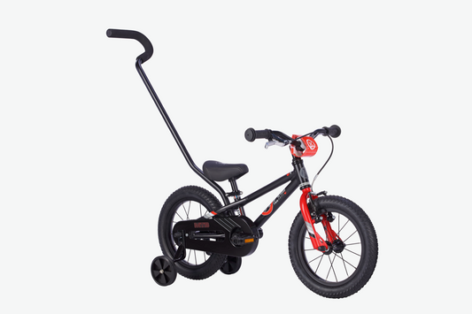 BYK E-250 MTB x 1
