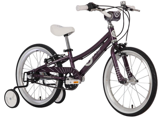ByK E-350 x 3i Purple Night