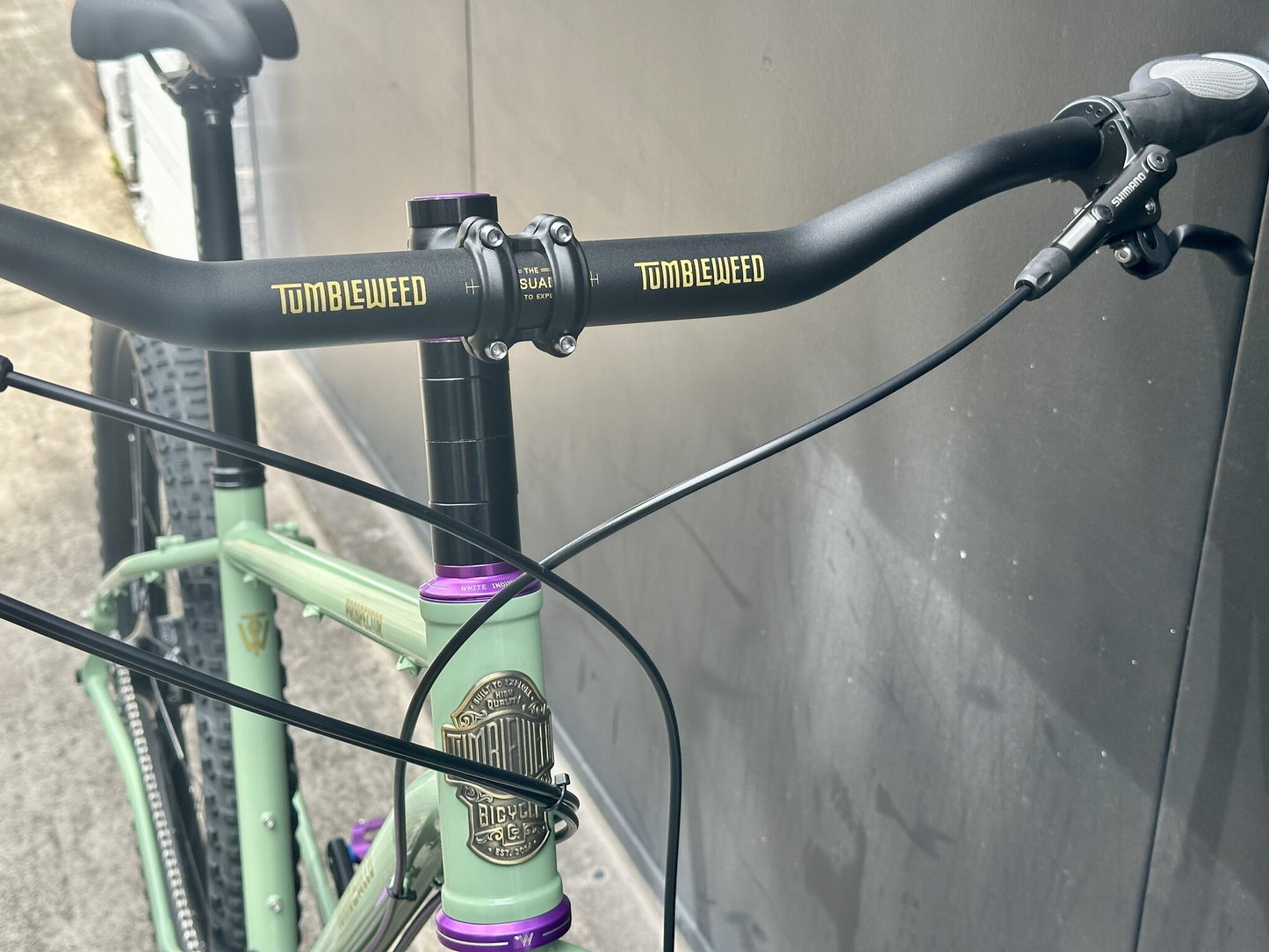 Tumbleweed Prospector House Build Rohloff - Medium Sage