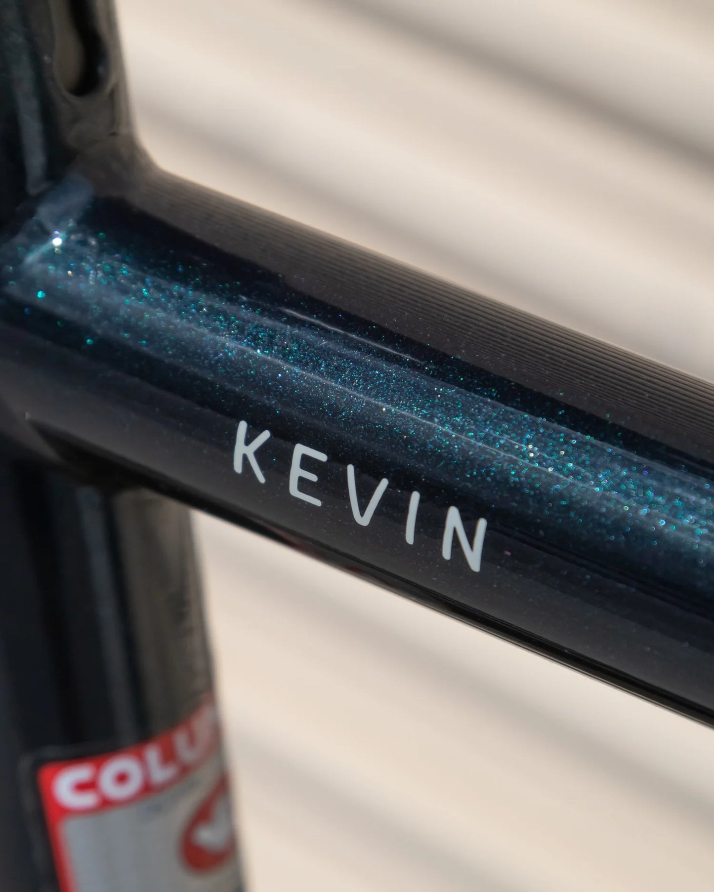 Curve GXR Kevin of Steel Ninja Mermaid, Apex Eagle, 700c