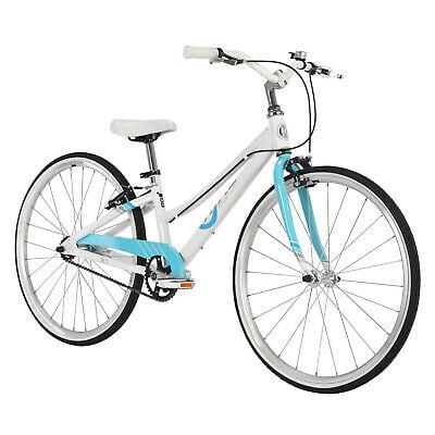 BYK E-540 Single Speed