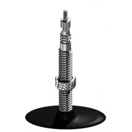 Schwalbe Tube (Presta Valve)