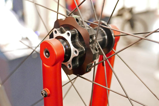 Schmidt SON 29 S Dynamo Hub