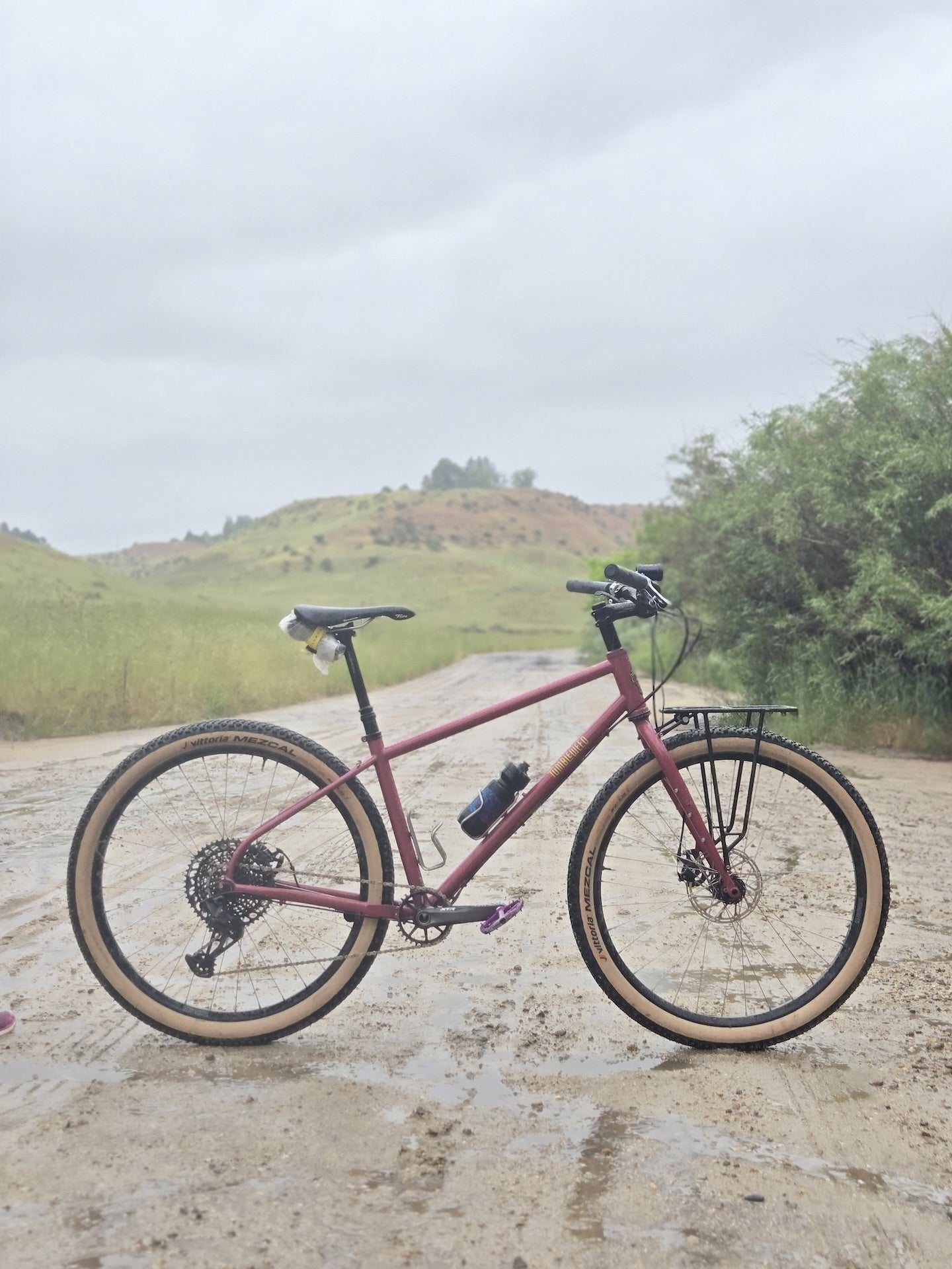 Tumbleweed Sunliner Frameset