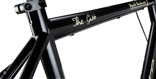 Vivente World Randonneur Frame V19 Black Gibb (Eccentric Bottom Bracket)