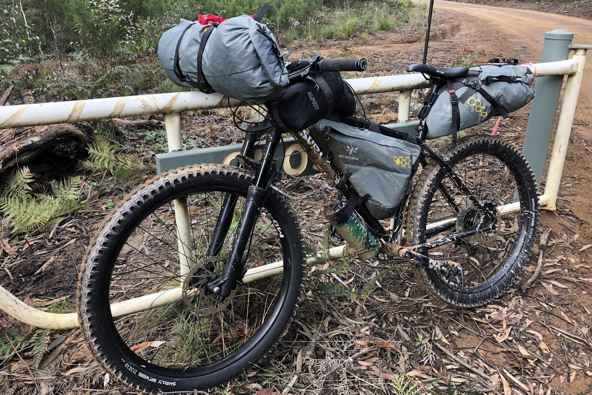 Duncan's Surly Karate Monkey