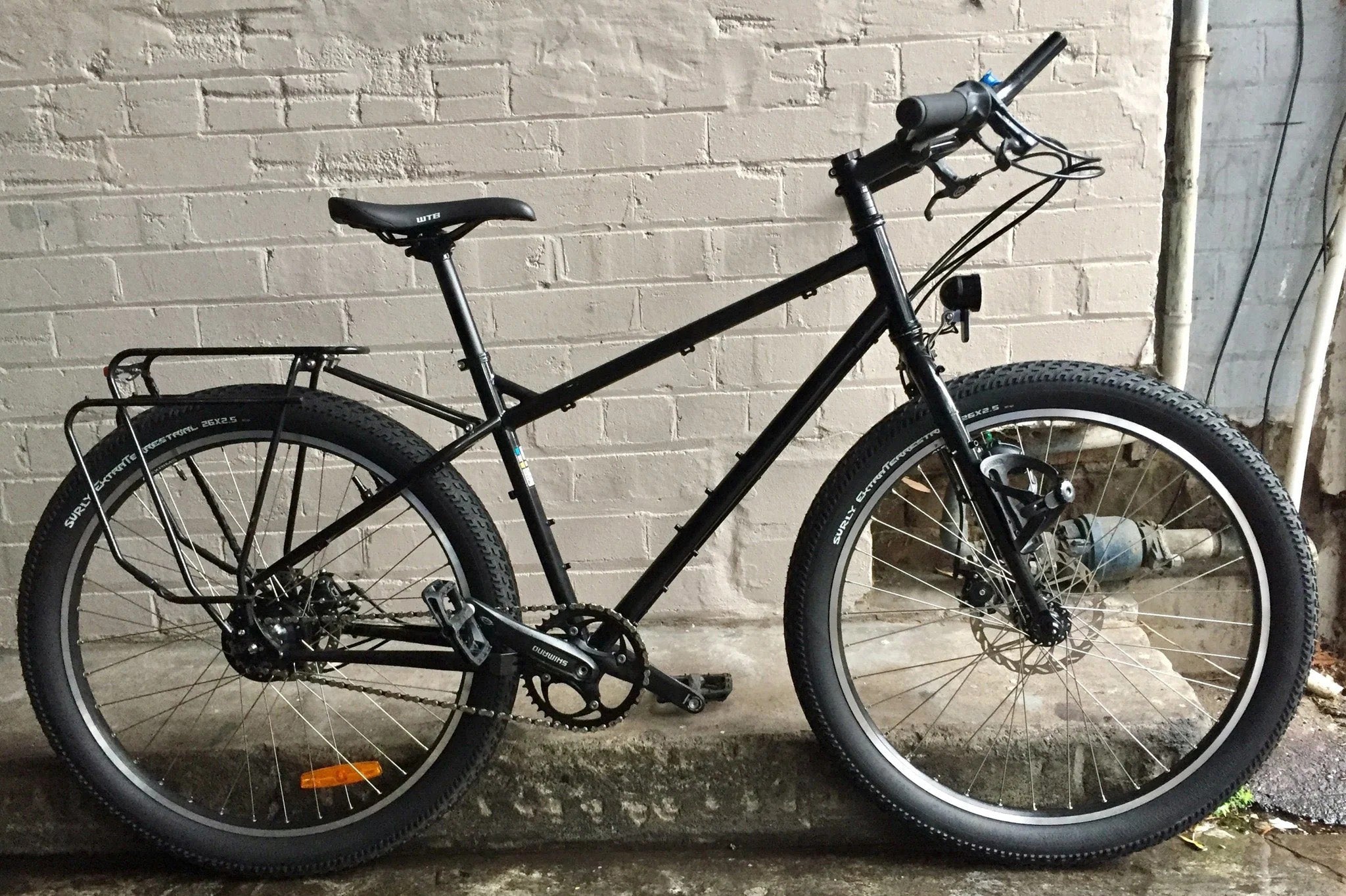 Jo's Surly Troll