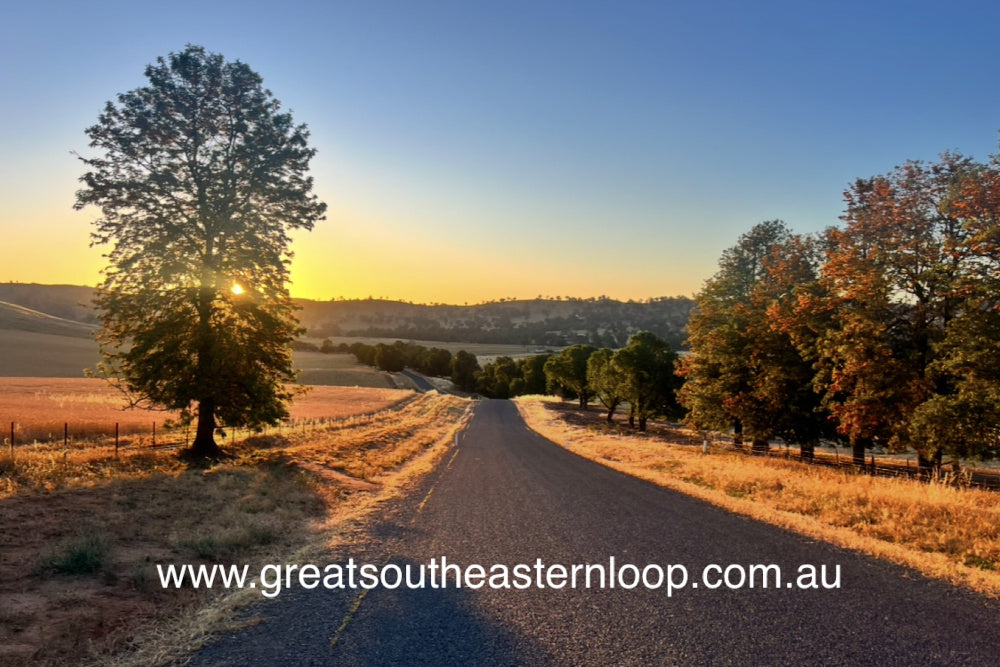 Film & Info Night: The Great Southeastern Loop