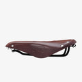 Brooks B17 