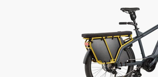 Riese and Muller Multicharger Passenger Kit