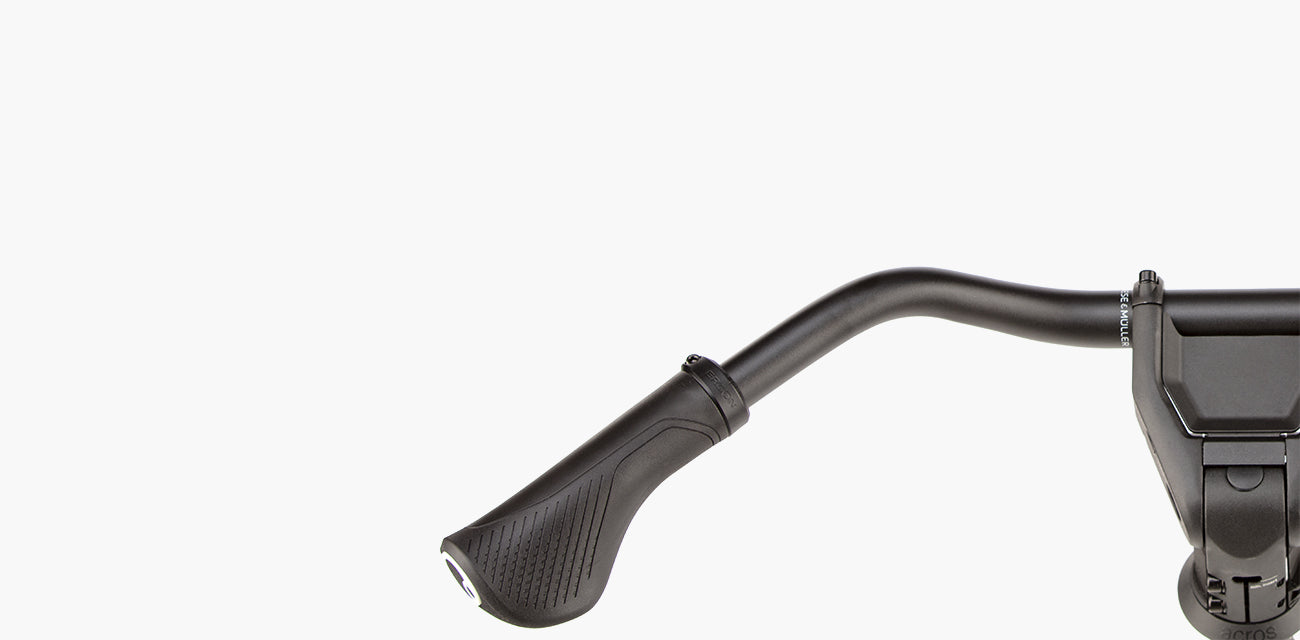 Riese & Muller Homage5