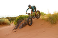 Surly Moonlander Pinion