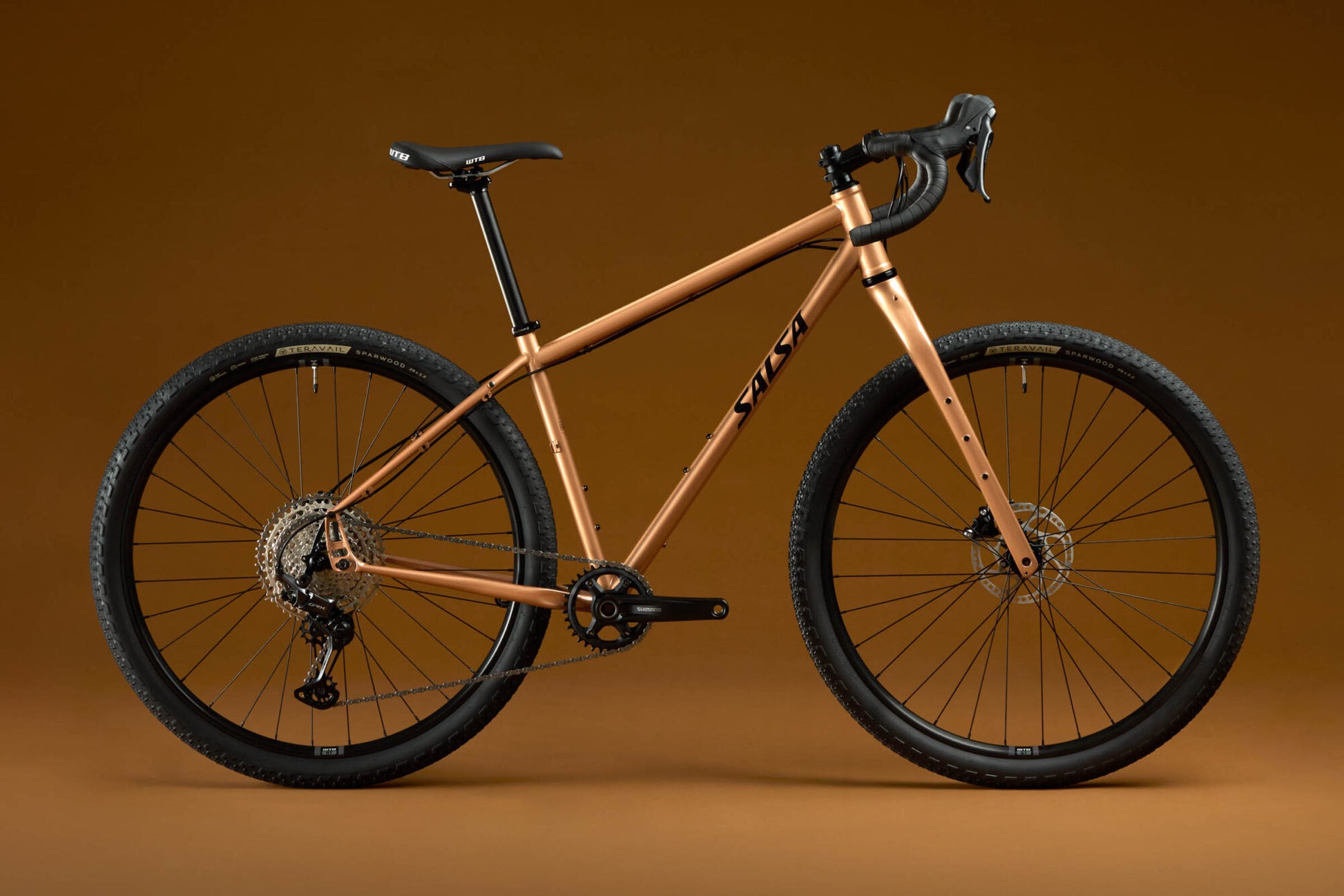 Bikepacking Salsa Fargo Large Salsa Fargo Apex Bike 29