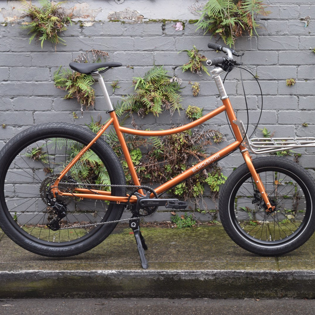 BlackSnow EDC Mk2 Cargo Bike House Build