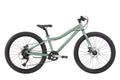 ByK E5  (disc brake) Sage Green