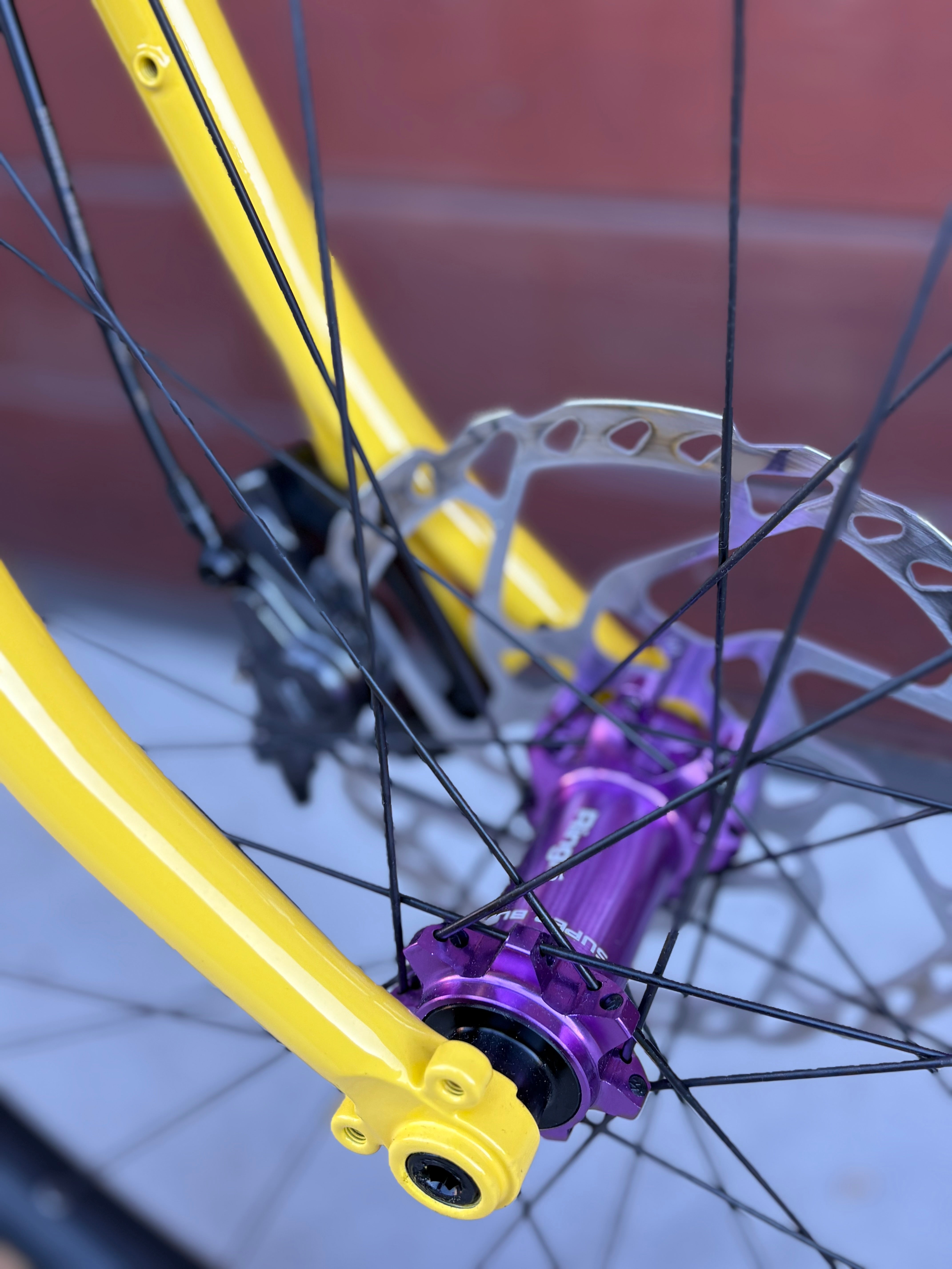 Crust Evasion Trail House Build (medium)