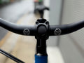 Brother Cycles Big Bro Extra Large Cobalt Blue House Build