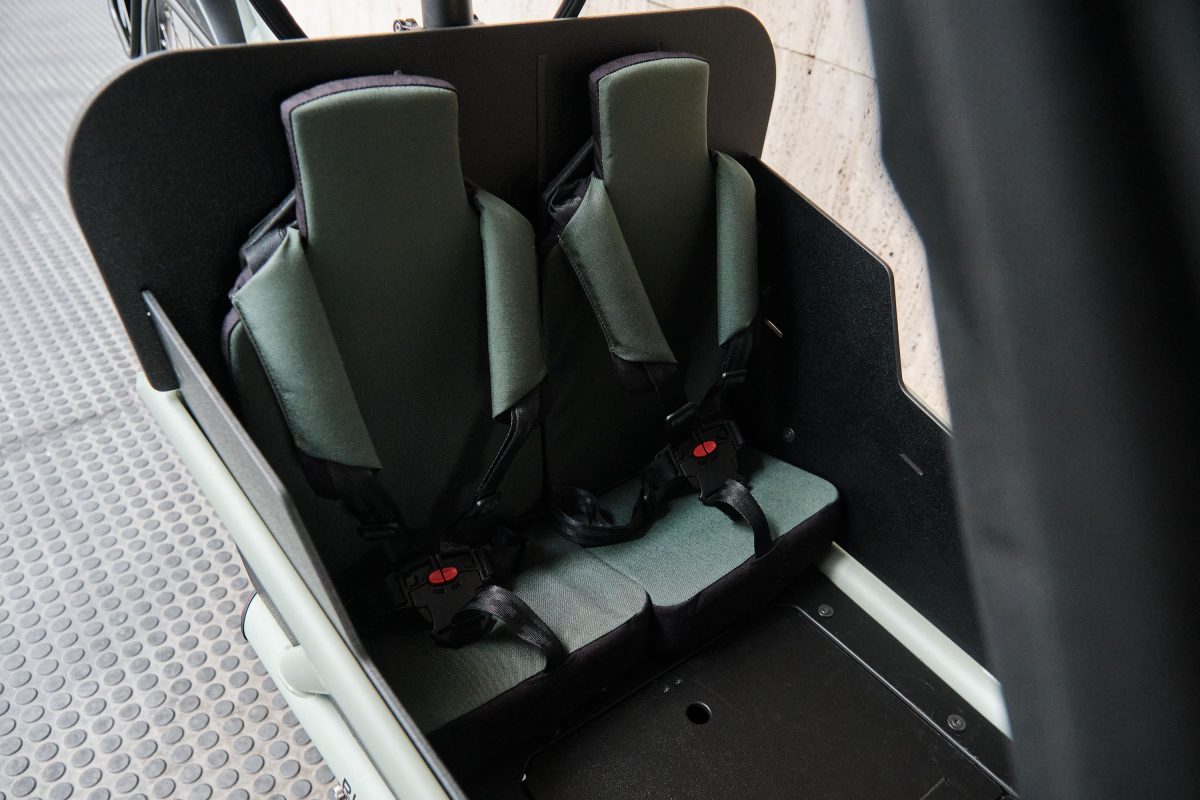 Riese & Muller Load5 60