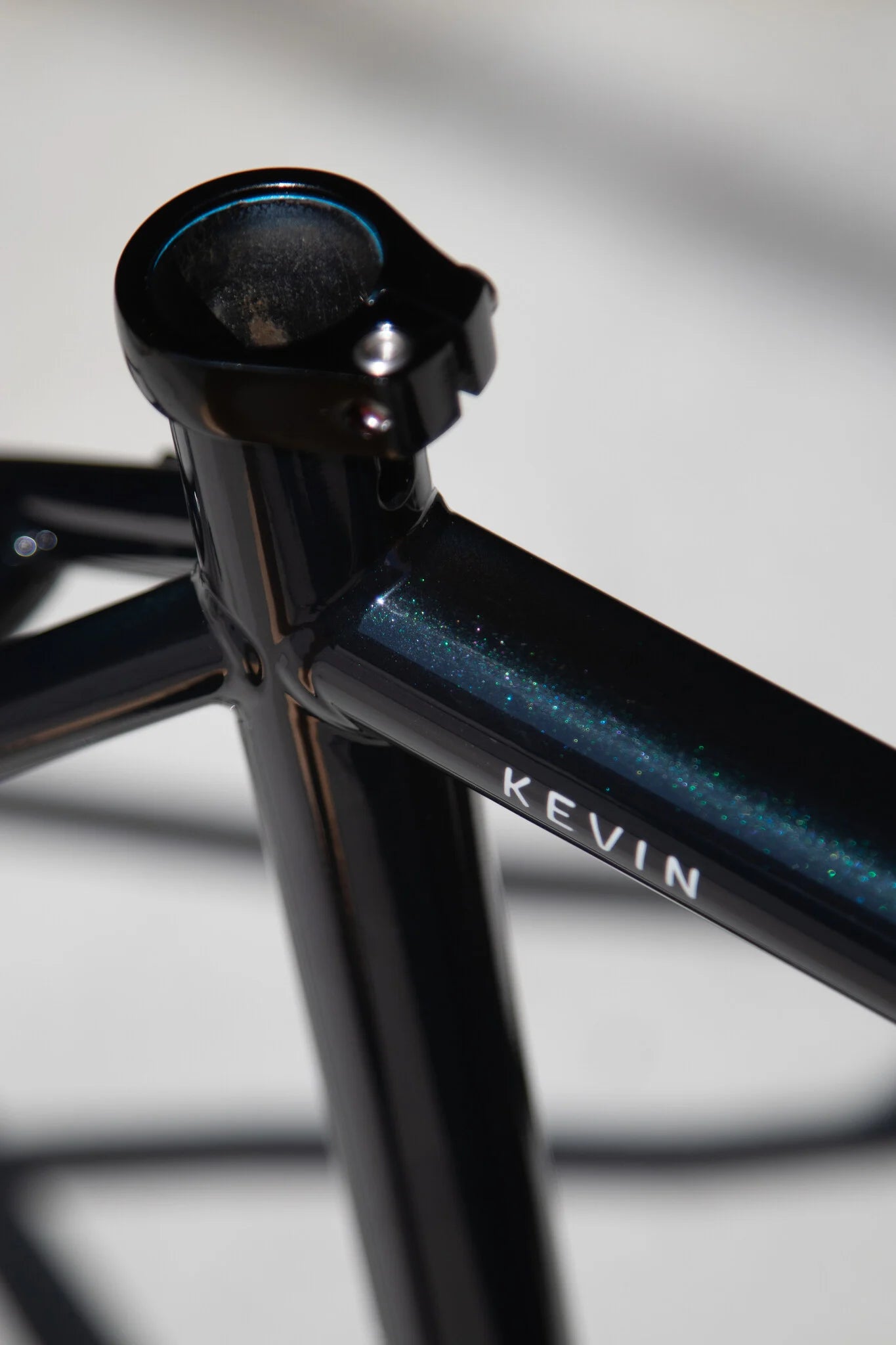 Curve Kevin of Steel Frameset (Ninja Mermaid)