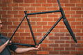 Curve Kevin of Steel Frameset (Ninja Mermaid)