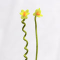 Ghooost Twist Flower