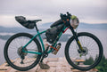 Salsa Timberjack SLX 29