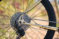 Surly Bridge Club 27.5 1x11
